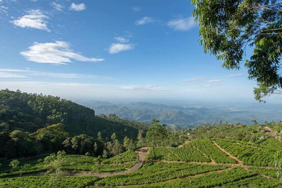 Leisure Mount View Ξενοδοχείο Haputale Εξωτερικό φωτογραφία